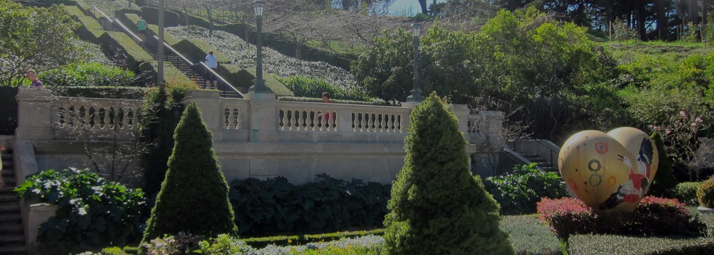 Photo of Lyon Steps in Pacific Heights