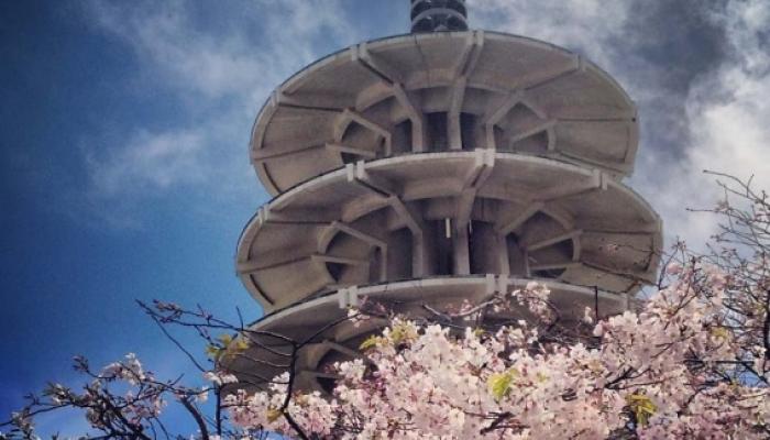 peace pagoda in japantown