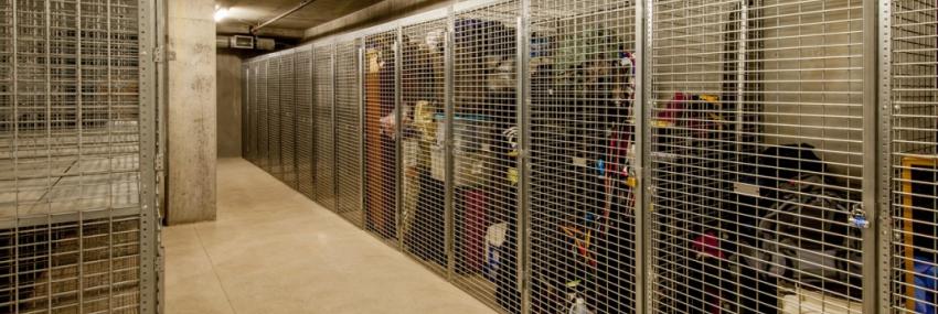 Basement Storage Lockers