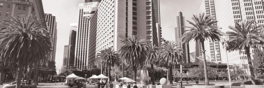 a busy Ferry Building Plaza space with vendor tents and tourists, looking west up Market Street, with palm trees and tall hotels along the Embarcadero