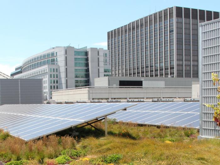 solar panels on rooftop