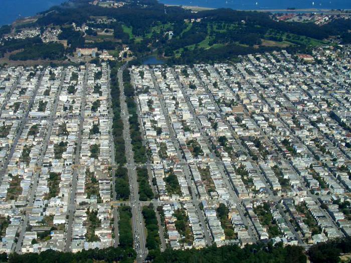 Aerial view of tree lined streets