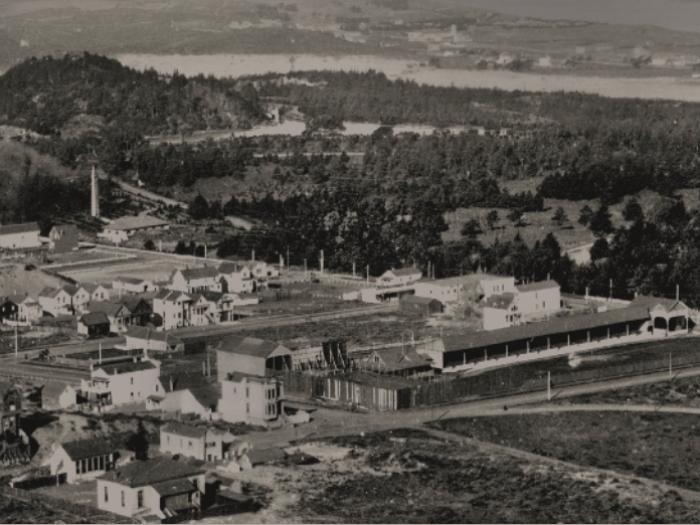 Looking Across GG Park from Mt. Sutro showing inner Sunset, Golden Gate Park, and Richmond District. In the foreground is the Olympic Club Grounds, taken by W.C. Billington circa 1901 